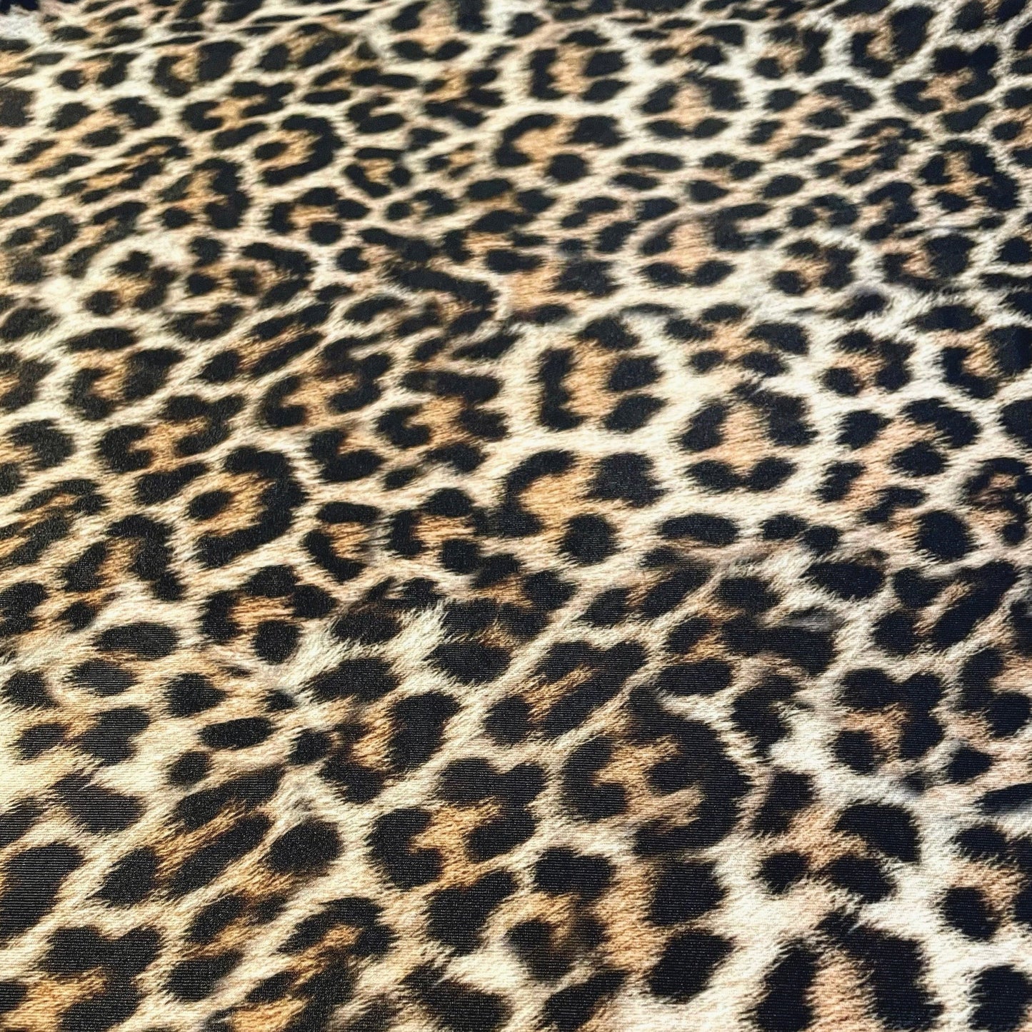 LINDA HIGH WAIST BOTTOM (SPF 50+)